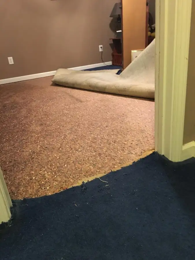 Carpet pad removal revealing water damage during Water Mitigation Services in Alamo