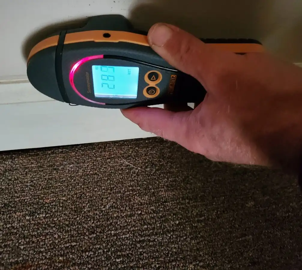 Moisture detection at baseboard during Sewage Cleanup & Sanitation in Alamo